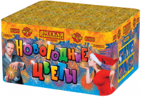 Новогодние цветы Фейерверк купить в Ноябрьске | noyabrsk.salutsklad.ru