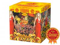 Красивая жизнь Фейерверк купить в Ноябрьске | noyabrsk.salutsklad.ru