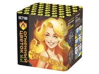 С огоньком! Фейерверк купить в Ноябрьске | noyabrsk.salutsklad.ru