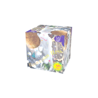 Новогодняя ночь Салют купить в Ноябрьске | noyabrsk.salutsklad.ru