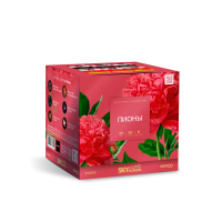 Пионы Салют купить в Ноябрьске | noyabrsk.salutsklad.ru