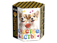 Счастье есть! Салют купить в Ноябрьске | noyabrsk.salutsklad.ru