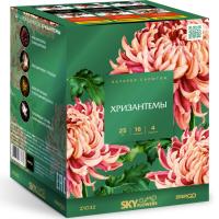 Хризантемы Фейерверк купить в Ноябрьске | noyabrsk.salutsklad.ru