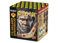 Бумеранг Батарея салютов купить в Ноябрьске | noyabrsk.salutsklad.ru