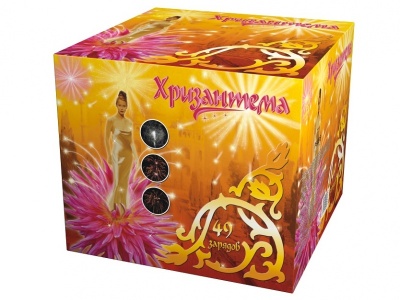 Хризантема Салют купить в Ноябрьске | noyabrsk.salutsklad.ru