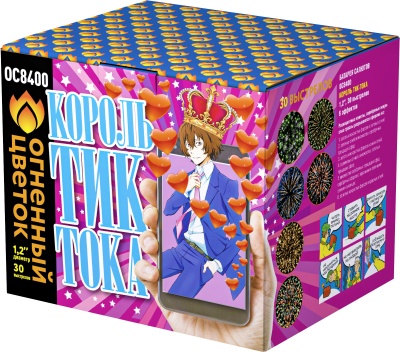 Король Тик-Тока Батарея салютов купить в Ноябрьске | noyabrsk.salutsklad.ru