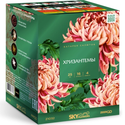 Хризантемы Фейерверк купить в Ноябрьске | noyabrsk.salutsklad.ru